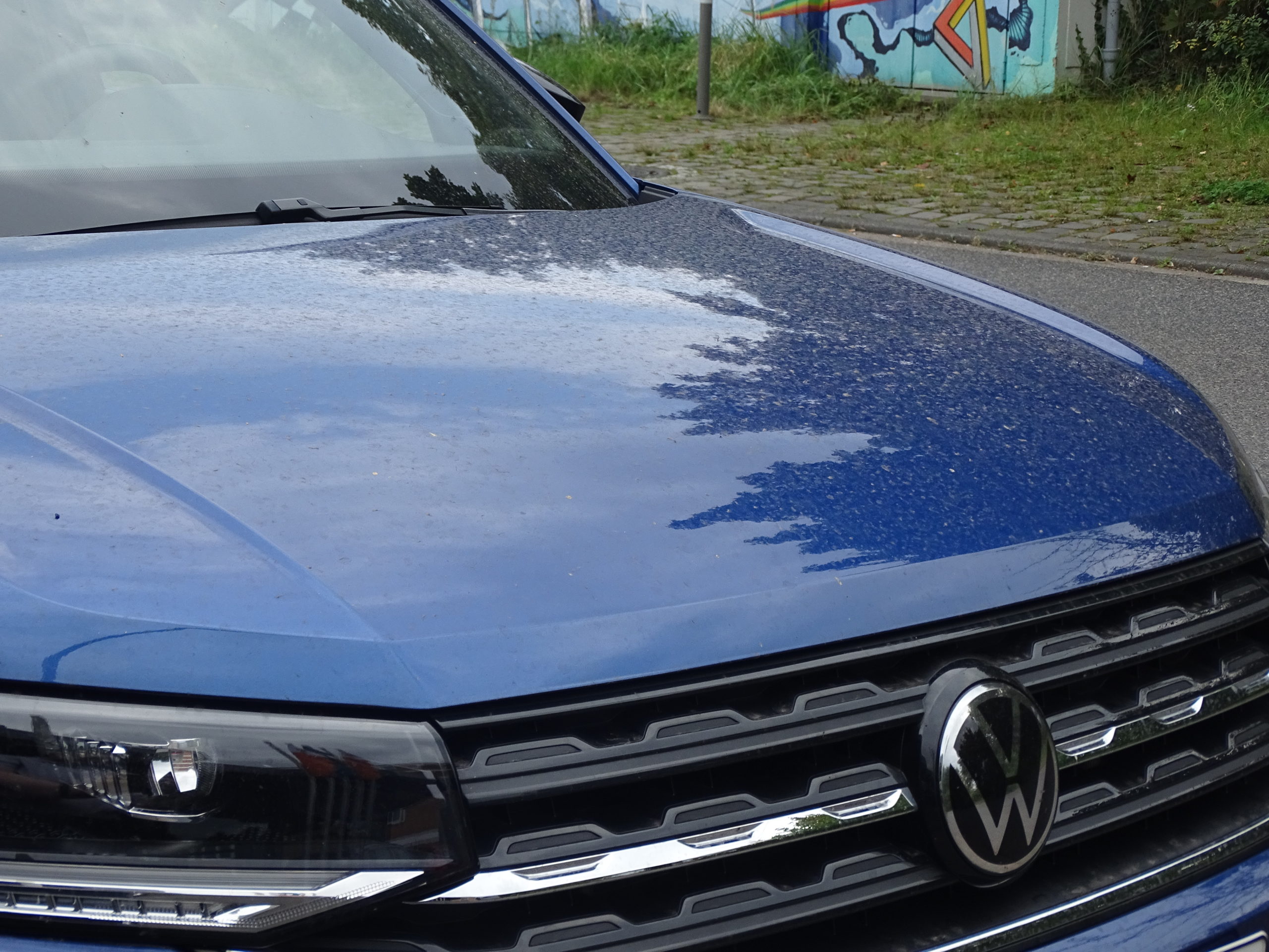 VW Volkswagen